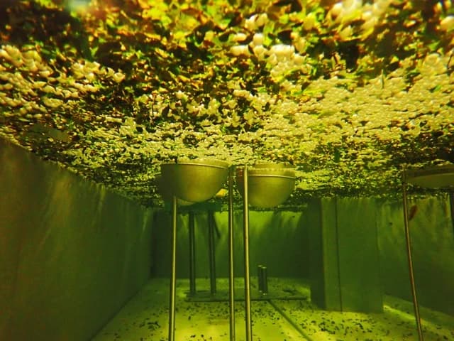 Recherche scientifique