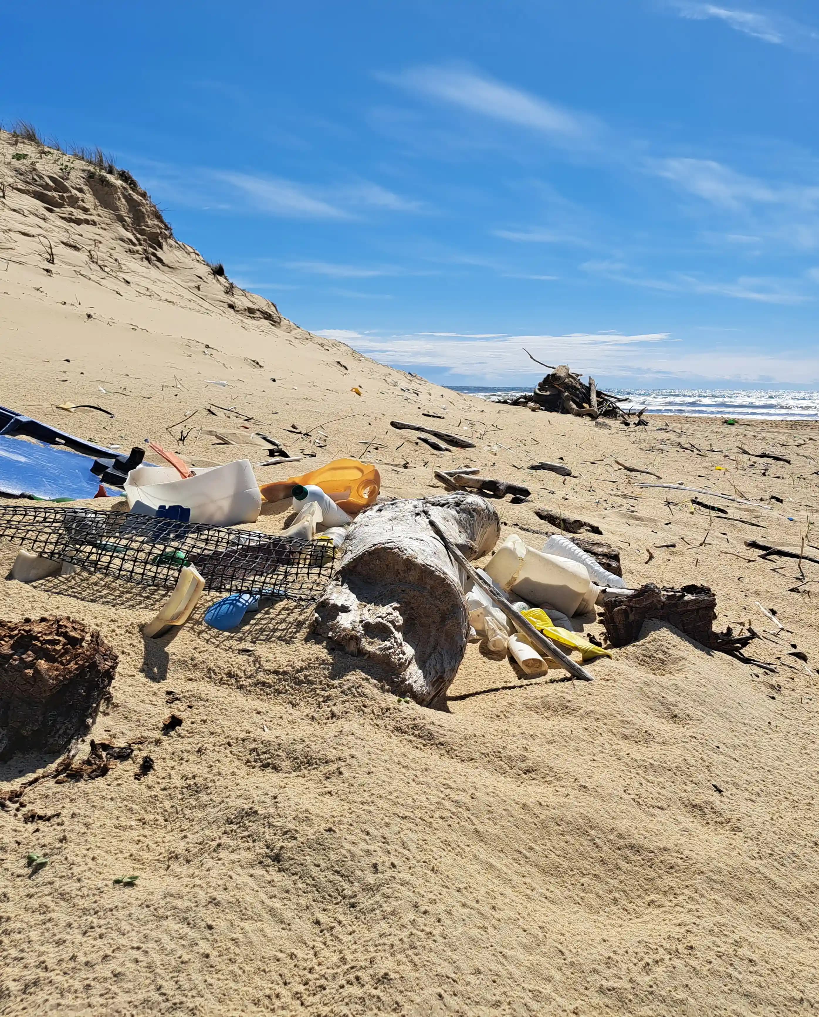 Lutte contre les déchets aquatiques