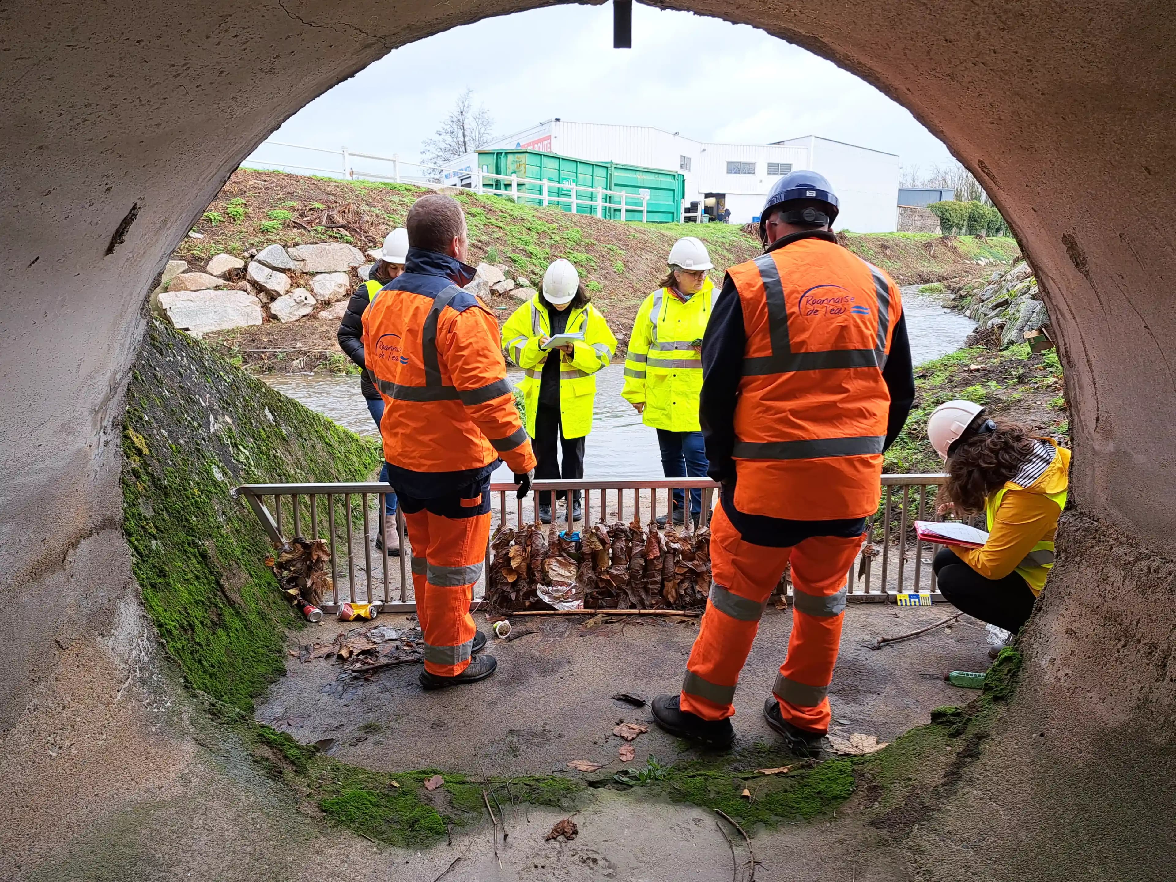 Services de lutte contre la pollution chronique