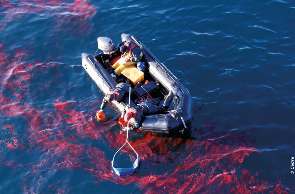 Pollution chimique maritime