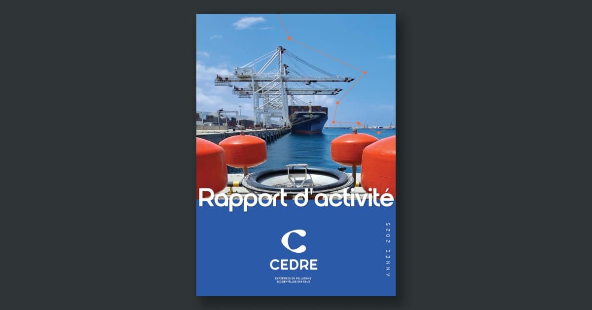 Rapport d'activité 2025